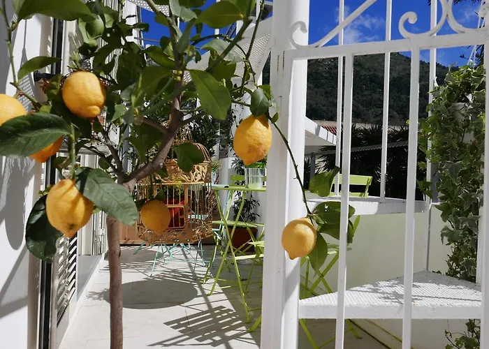 Elisir Bed and breakfast