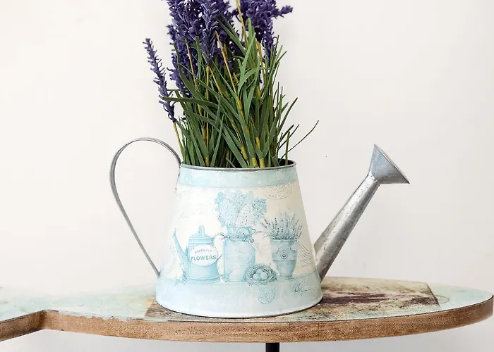 Elisir Bed and breakfast