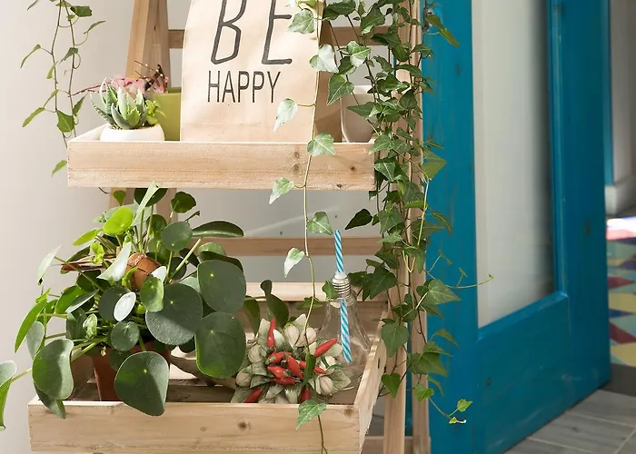 Bed and breakfast Elisir