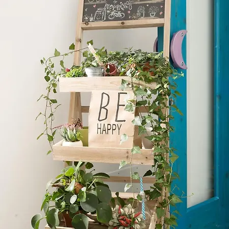 Elisir Bed & Breakfast 3*