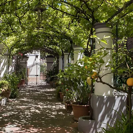 Elisir Bed & Breakfast 3*